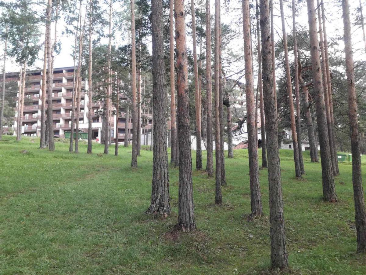 Lux Apartman Ss Zlatibor Vila Pekovic Green Exterior foto
